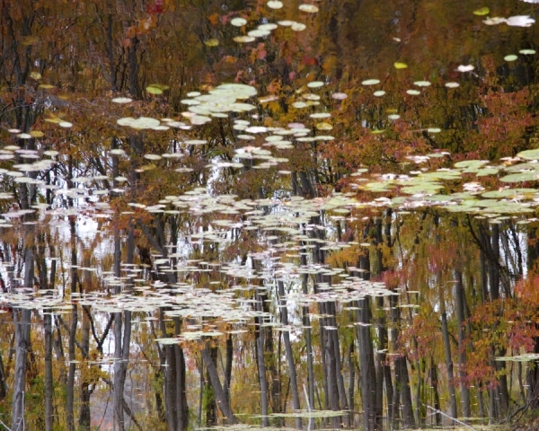 Photograph Michael Filonow Reflection2 on One Eyeland